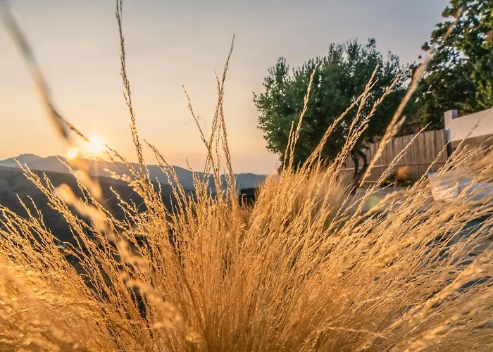 Saffron Boutique Aparthotel